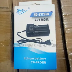 Lithium Battery Charger
