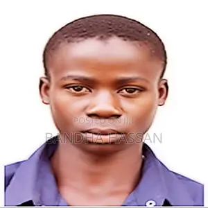 Computing IT CV