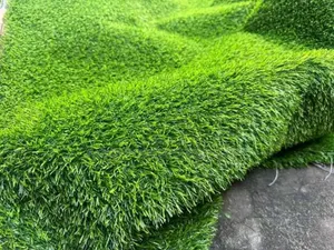 Pure Green Grass Carpet