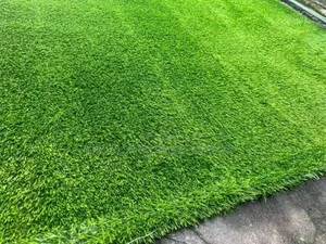 Pure Green Grass Carpet