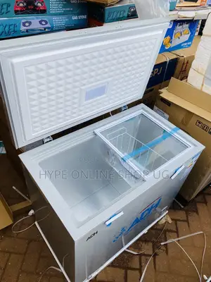 Silver 250L Deep Freezer