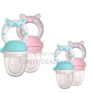 Brand Baby Fruit Feeder