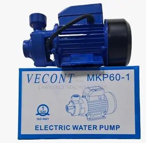 Electric Surface Water Pump