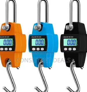 Portable Digital Hanging Weighing Scale
