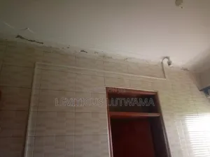Electrician