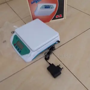 Do You Need a Weigh Scale Digital Table Top Weighing Scale Ts:30kg/1g