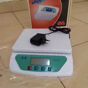 Digital Weigh Electronic Balance Weighing Scale Ts:30kg/1g Weigh Scale