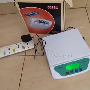Table Top Weighing Scale Ts:30kg/1g Weigh Digital Weighing Scale