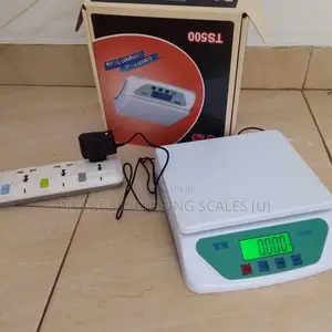 Table Top Weighing Scale Ts:30kg/1g Weigh Commercial Weighing Scale