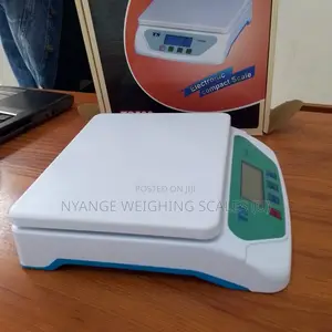 Hot Sale Digital Weigh Scale Portable Weighing Scale Ts:30kg/1g