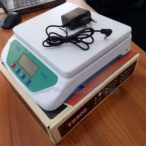 Portable Weigh Scale Table Top Weighing Scales Ts:30kg/1g in Kampala