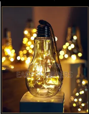 Rope Hanging Bulb With LED Fairy Lights for Indoor