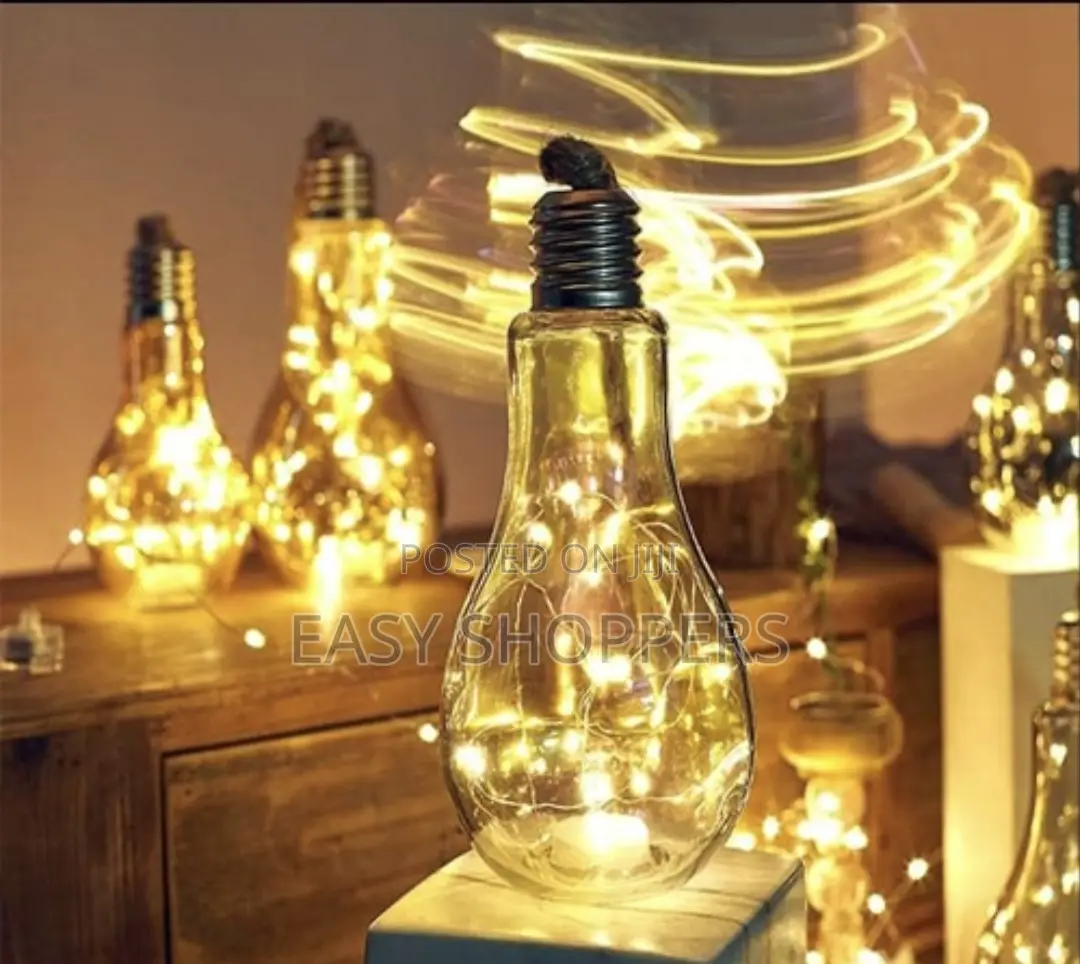 Hanging Bulb With LED Fairy Lights