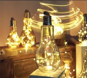 Hanging Bulb With LED Fairy Lights