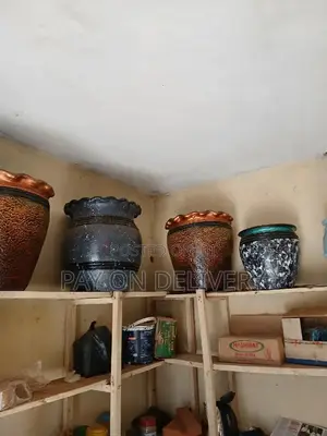 Pots in Colours(Flower Pots)