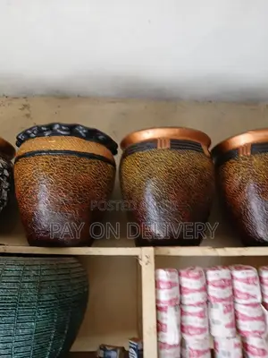 Pots in Colours(Flower Pots)
