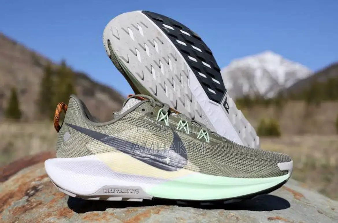 Men’S Nike Pegasus Trail 5 in Stock