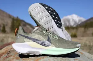Men’S Nike Pegasus Trail 5 in Stock
