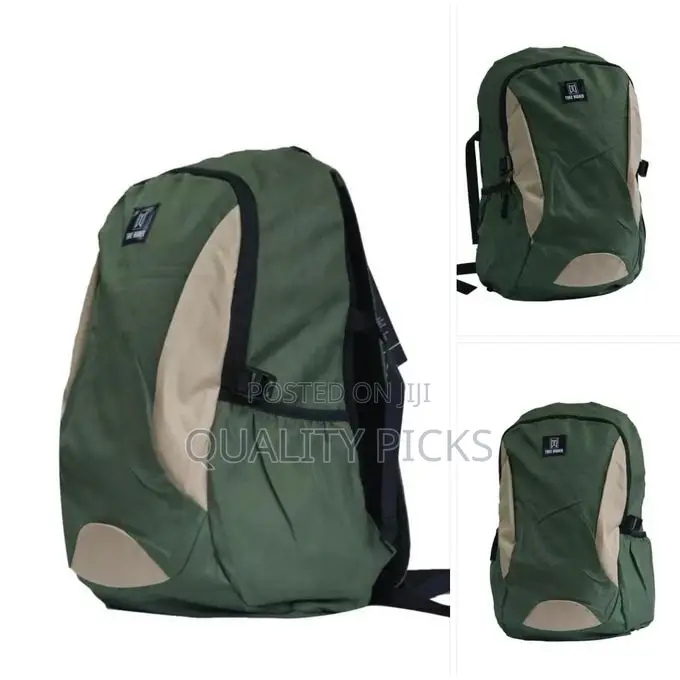 Travel or School Bag