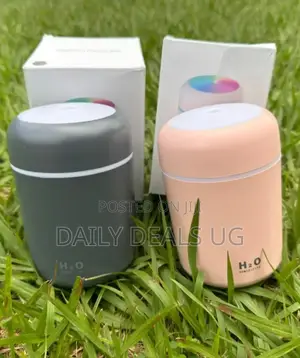 Mini Humidifier