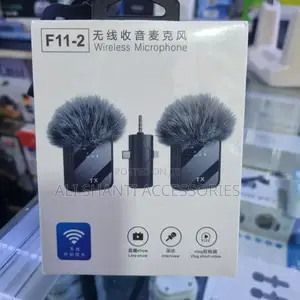 Mini Wireless Audio/Live Show Microphone