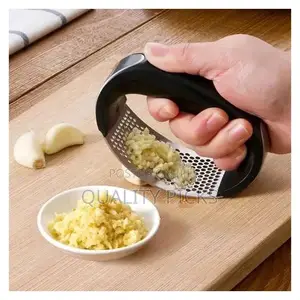 Stainless Steel Garlic Press - Silver