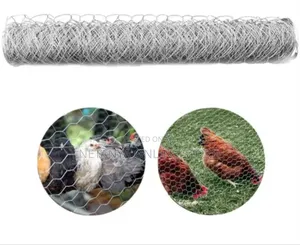 1*25m Galvanised Chicken Wire Mesh