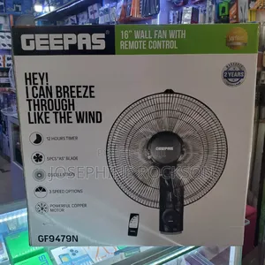 Electric Wall Fan