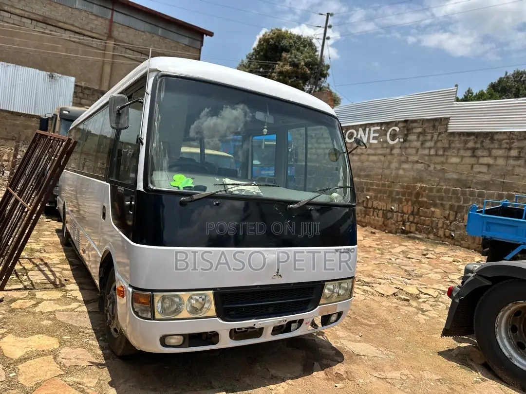 Mitsubishi Fuso Rosa 2017 White