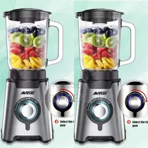 Avinas Food Processor