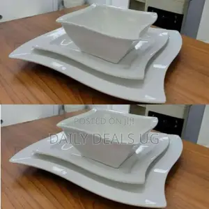 Dinner Plate Set