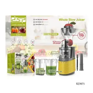DSP Cold Press Machine Stainless Steel Whole Slow Juicer