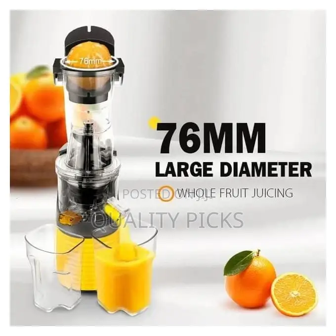 DSP Cold Press Machine Stainless Steel Whole Slow Juicer