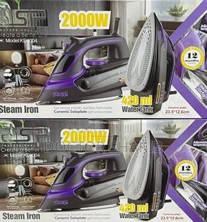 DSP 420ml Water Tank Steam Iron