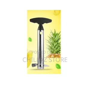Stainless Steel Pineapple Cutter.