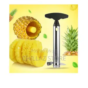 Stainless Steel Pineapple Cutter.