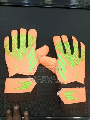 Goalkeeper Gloves (Predator)