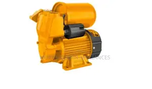 Water Pump Automatic Self-Priming Peripheral 750W (1.0 HP)