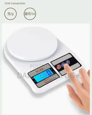 Computer Scale