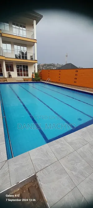 Swimming Pool Technicians