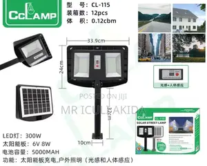 300w Waterprof Remote Motion Sensor Home Street Solar Lights