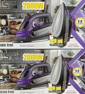 DSP 420ml Water Tank Steam Iron