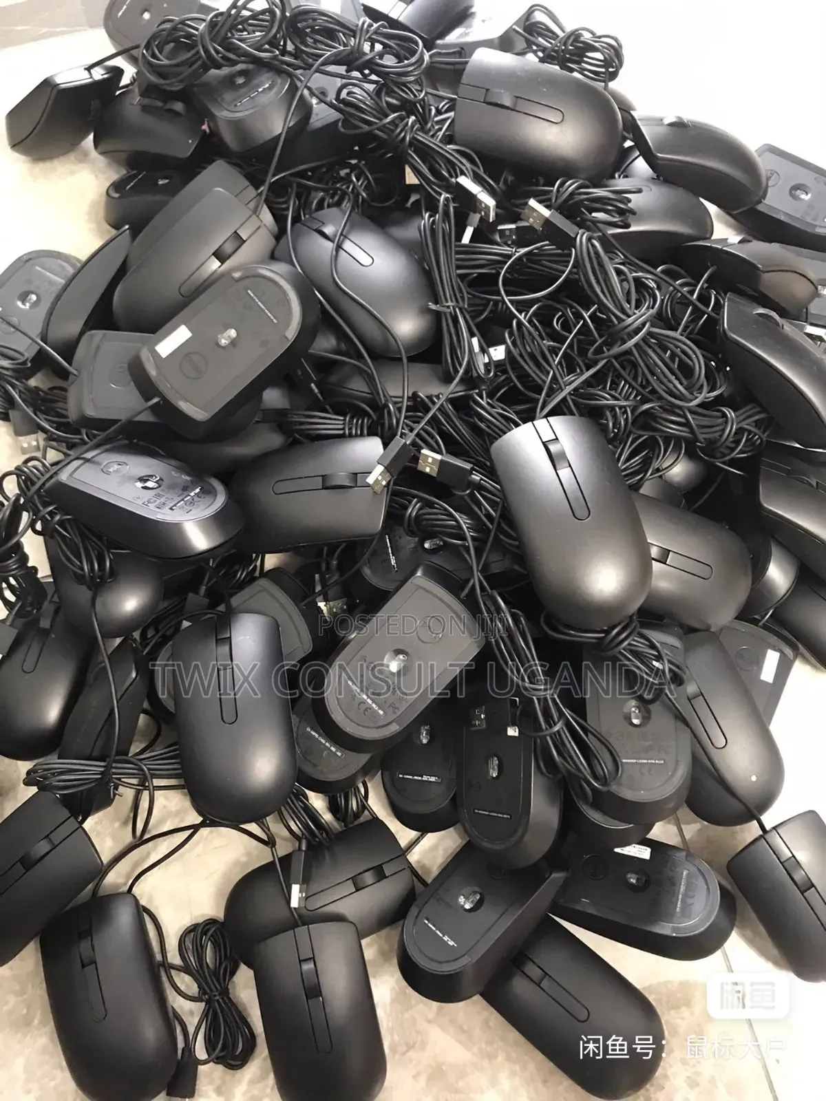 Dell Ms116 Mouse