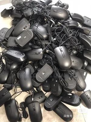 Dell Ms116 Mouse