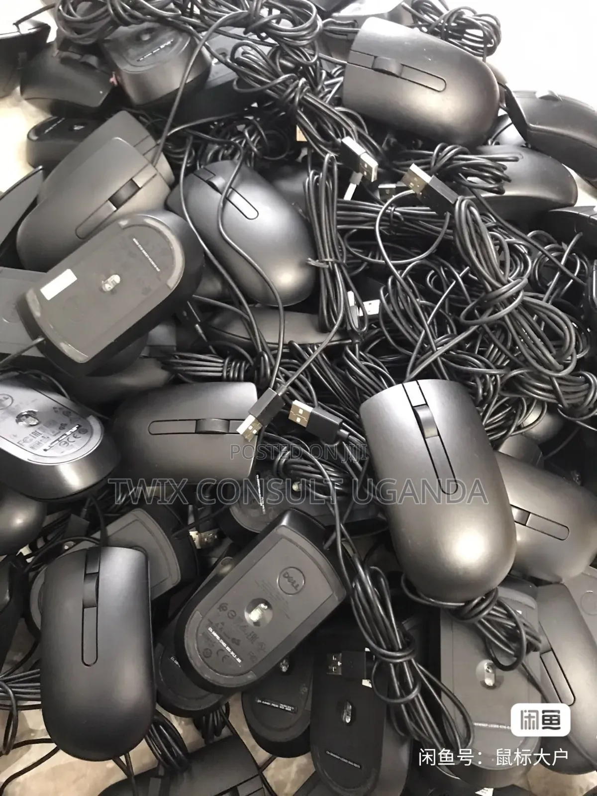 Dell Ms116 Mouse