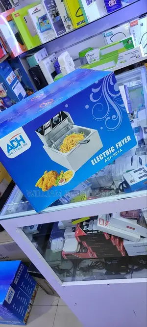Stainless ADH Electric Deep Fryer/6l Deep Fryer