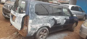 Panal Beating and Spraying