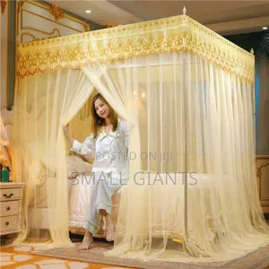 Romantic Lacedream Canopy Mosquito Net