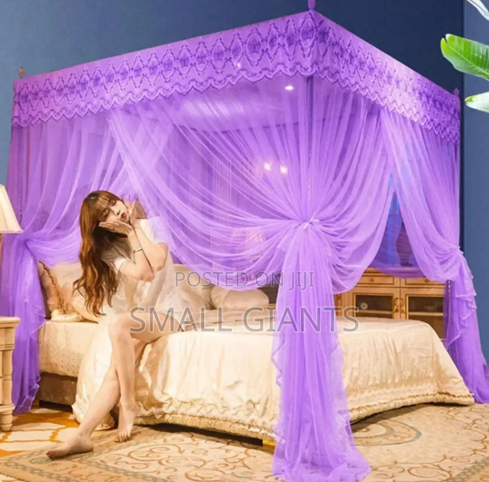 Romantic Lacedream Canopy Mosquito Net