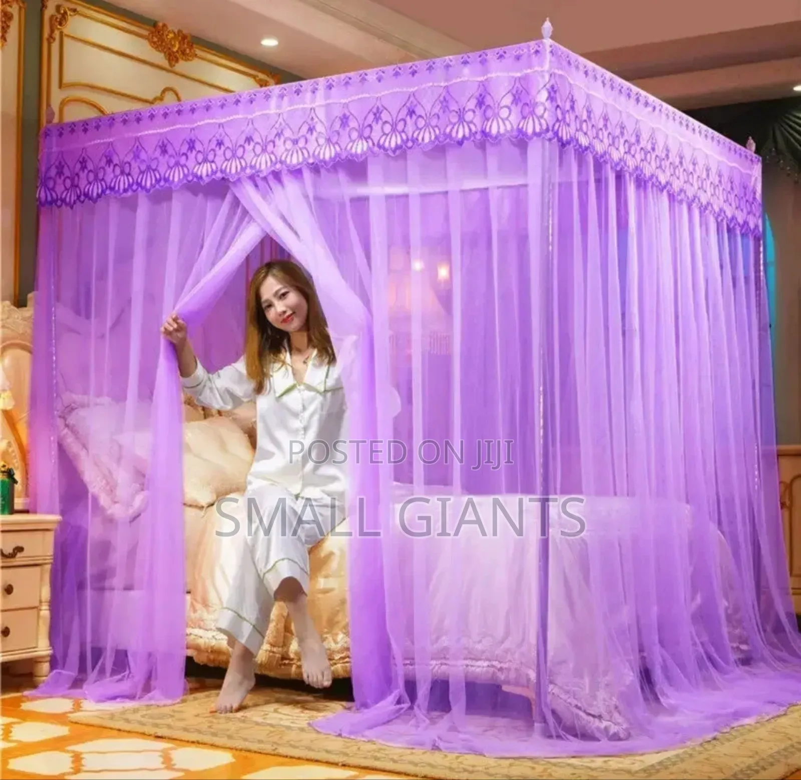 Romantic Lacedream Canopy Mosquito Net